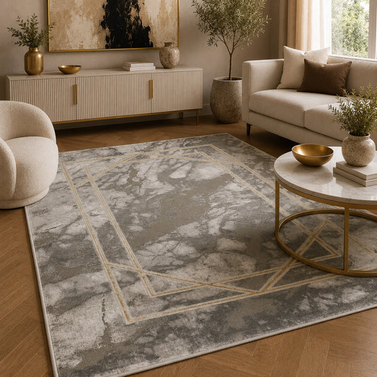 Marmaris D387A Light Grey V Gold Modern Area Rug