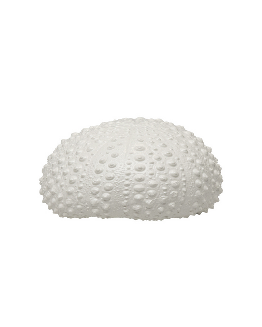 Resin Sea Urchin Shell White Handcrafted Home Décor