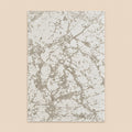 Anemon F030B Cream Cream Modern Area Rug