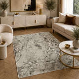 Elmaas T502A Light Grey V Beige Modern Area Rug