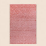 Lucca E645A Pink Modern Area Rug