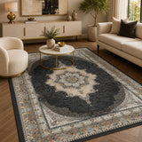 Mashad 723515 Traditional Persian Area Rug Coal