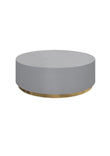 Enzo Modern Luxury Coffee Table Grey Titanium Gold