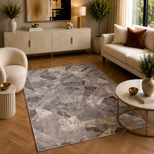 Tiger 9801A Grey / Dark Vizon Modern Area Rug