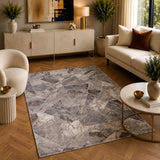 Tiger 9801A Grey / Dark Vizon Modern Area Rug