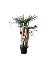 Artificial Plant Decor 150cm